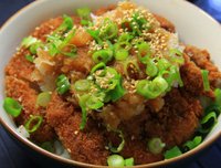 20090510_oroshikatsudon1